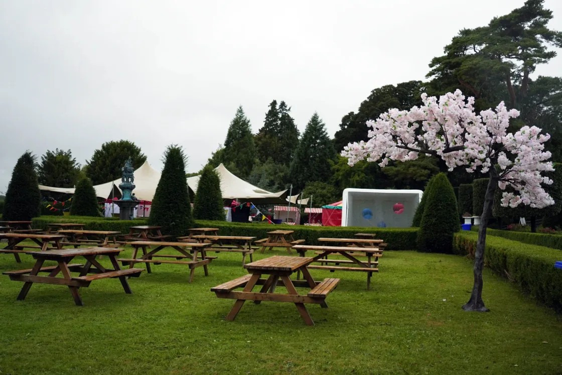 Picnic tables and a decorative blossom tree on an event lawn.