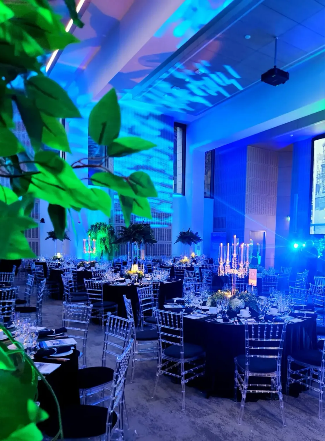 A dining room seen through green foliage under blue lighting.