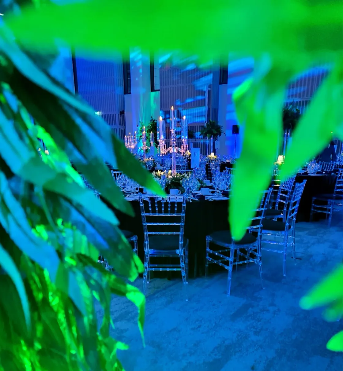 Green leaves framing candlelit dining tables in a blue-lit room.