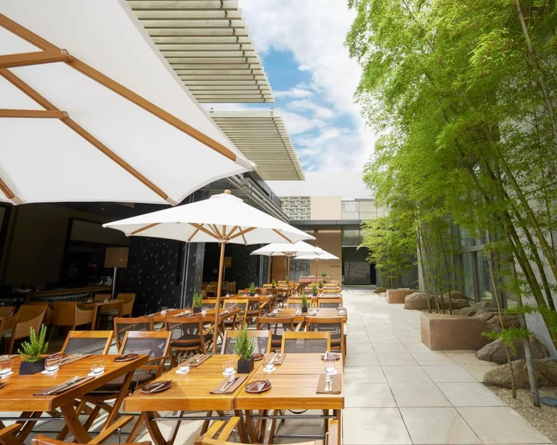 Outdoor dining tables shaded by large umbrellas beside bamboo.