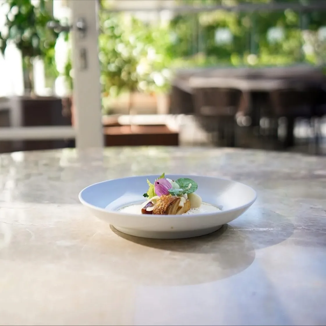 A plated dish on a terrace table overlooking a garden.