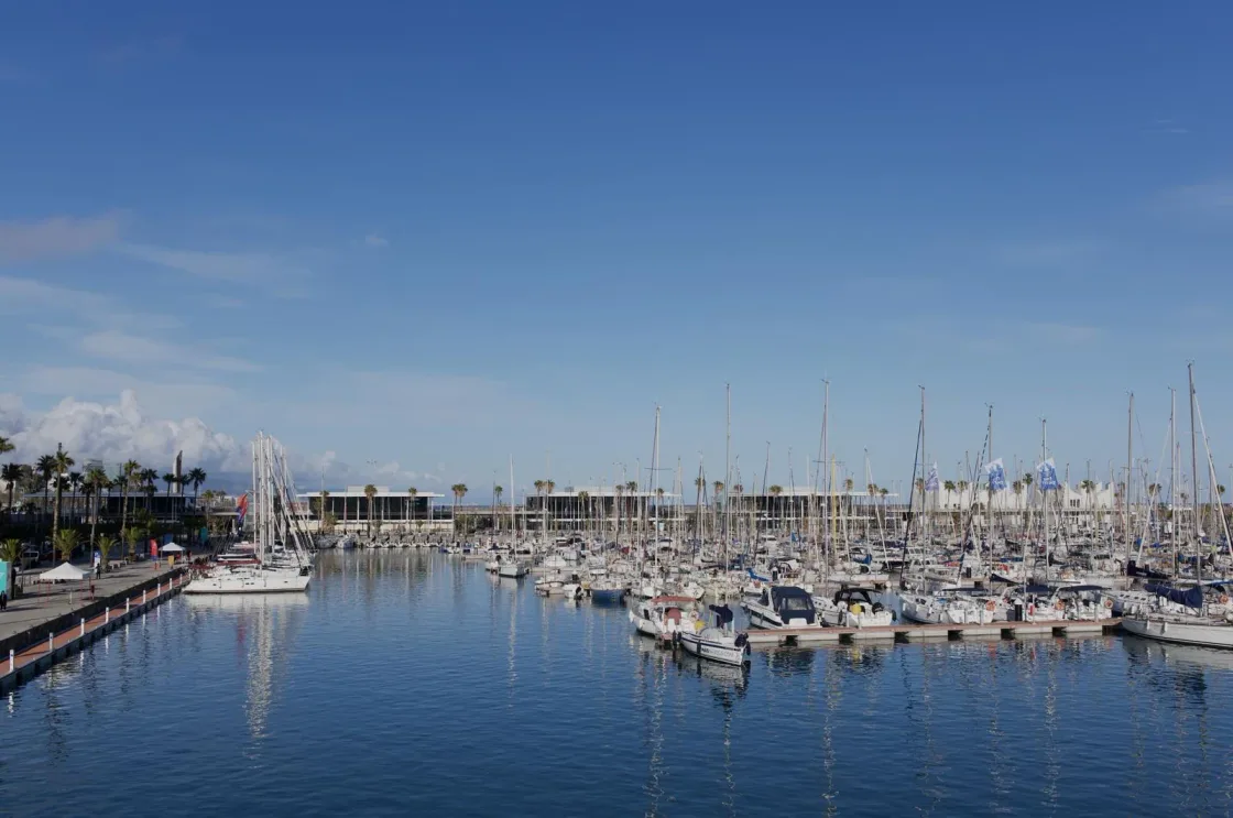 Rows of sailing boats reflected in calm marina water.