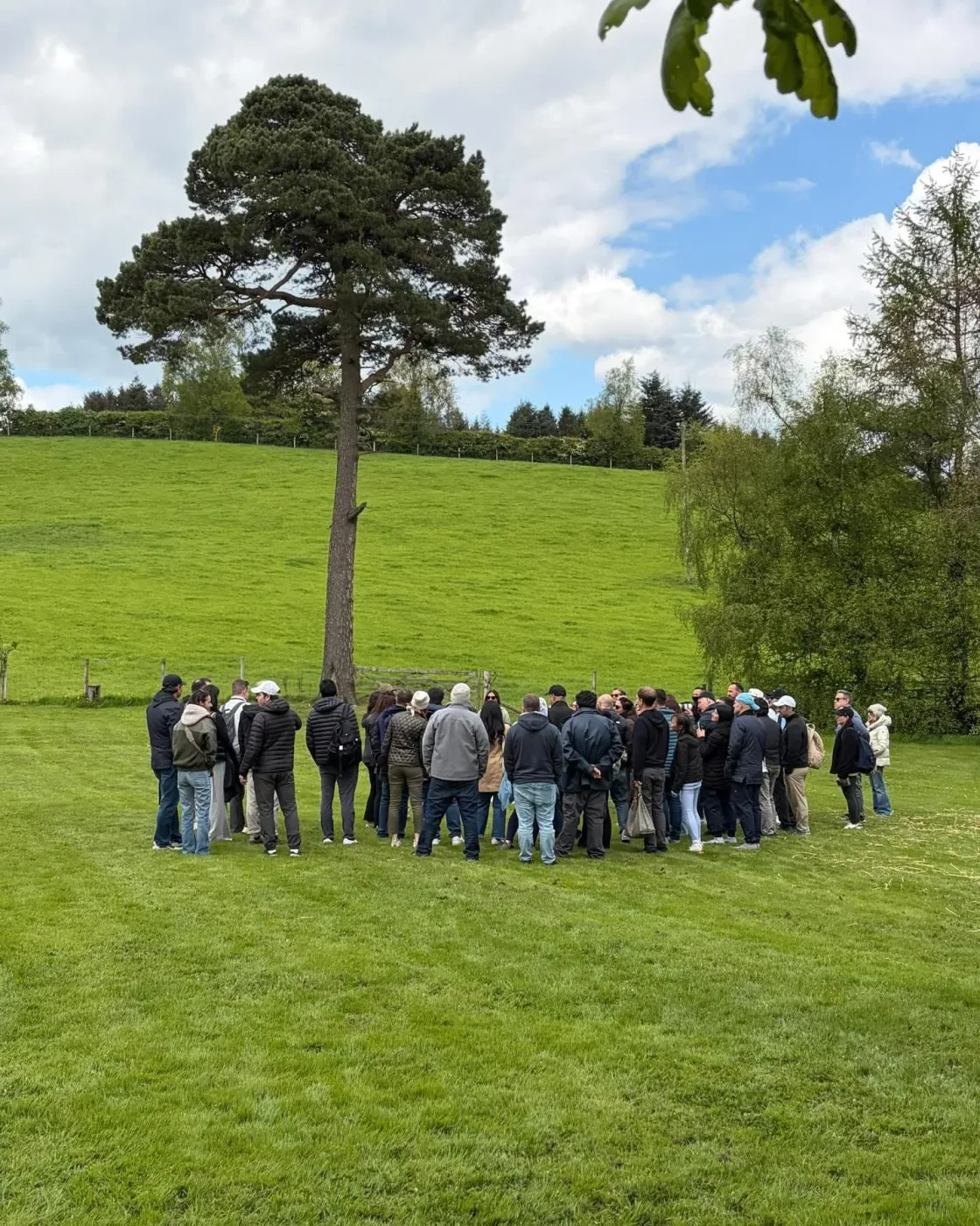 A group gathered beneath a tall tree in open parkland.