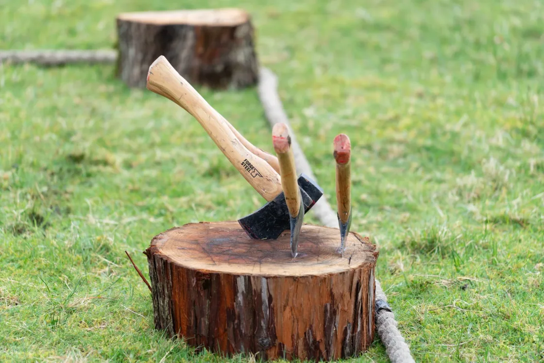 Throwing axes embedded in a tree stump on a lawn.