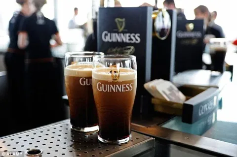 Freshly poured pints of Guinness lined up at a serving counter.