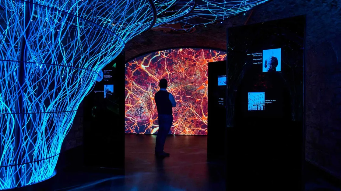 Visitors inside a dark exhibition space with blue and orange illuminated displays.