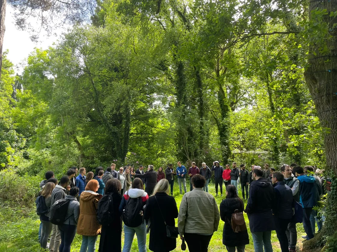 A group gathered in a wooded clearing during an outdoor activity.